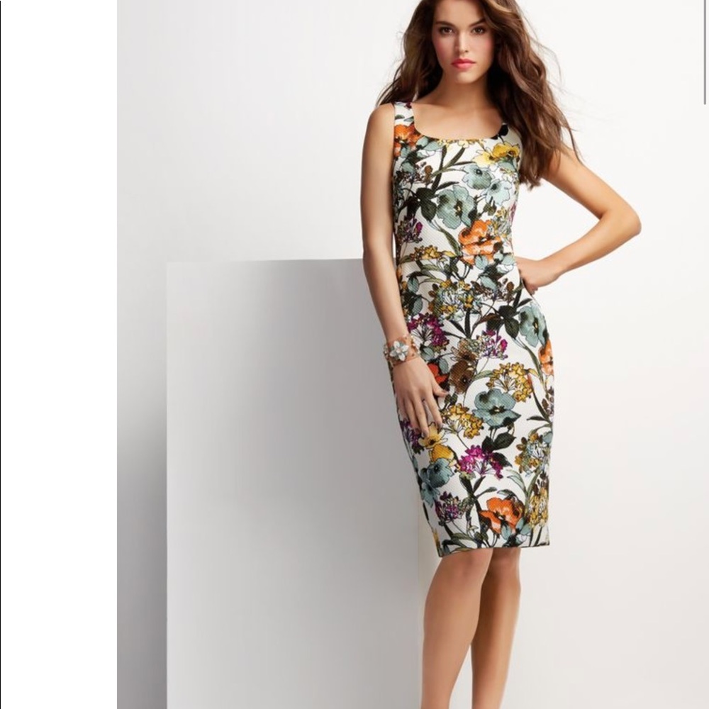 Coat and dress as a set